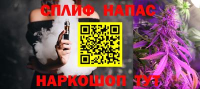 spice Камышлов