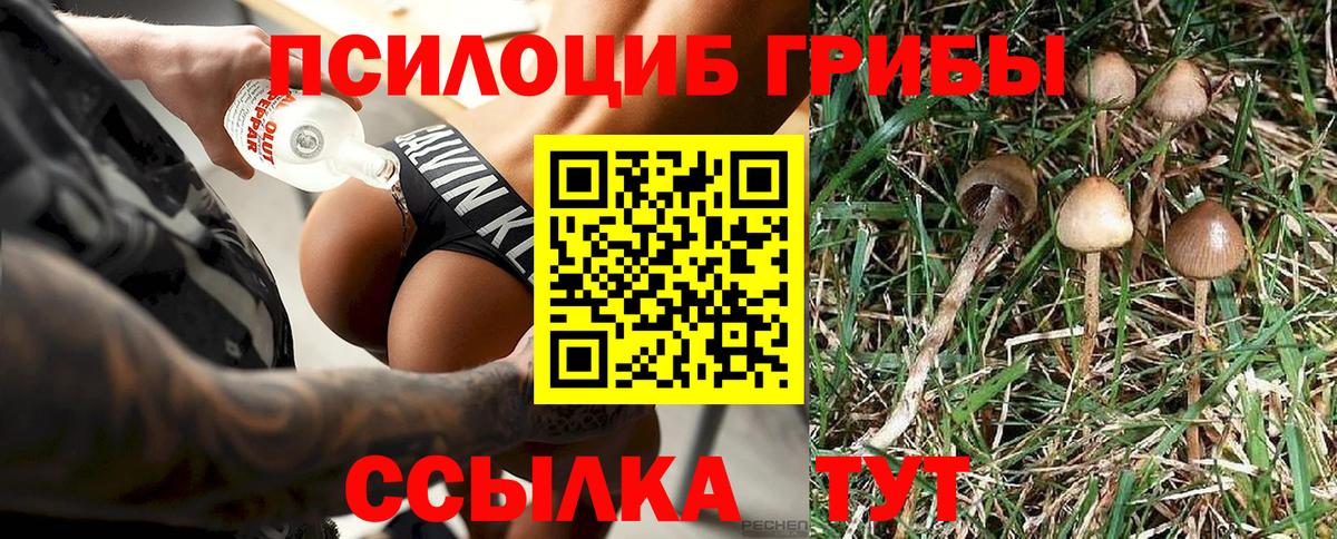 Псилоцибиновые грибы Cubensis Кулебаки