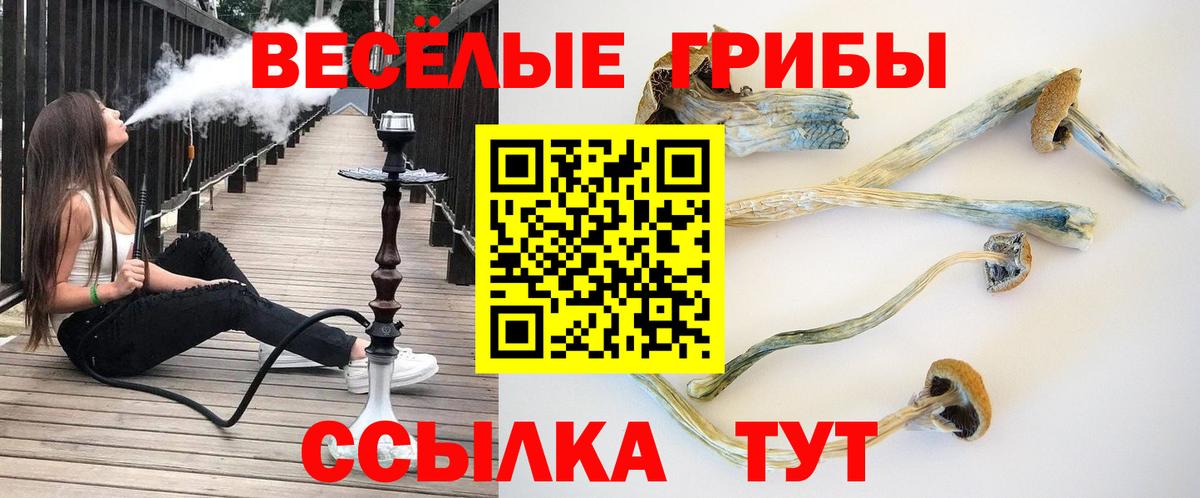 Кулебаки  Галлюциногенные грибы прущие грибы  Вход с VPN 